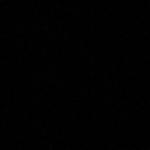 Meet your Posher, Isabella